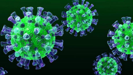 Coronavirus Ce durată de viață are virusul și cum te protejezi