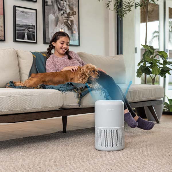 Purificator de Aer Levoit Core P350-RAC Pet Care, Filtru True HEPA, Carbon Activ, Super Silent, Filtrare 99.97%, 100% Ozon Free, Touch Screen, Gri