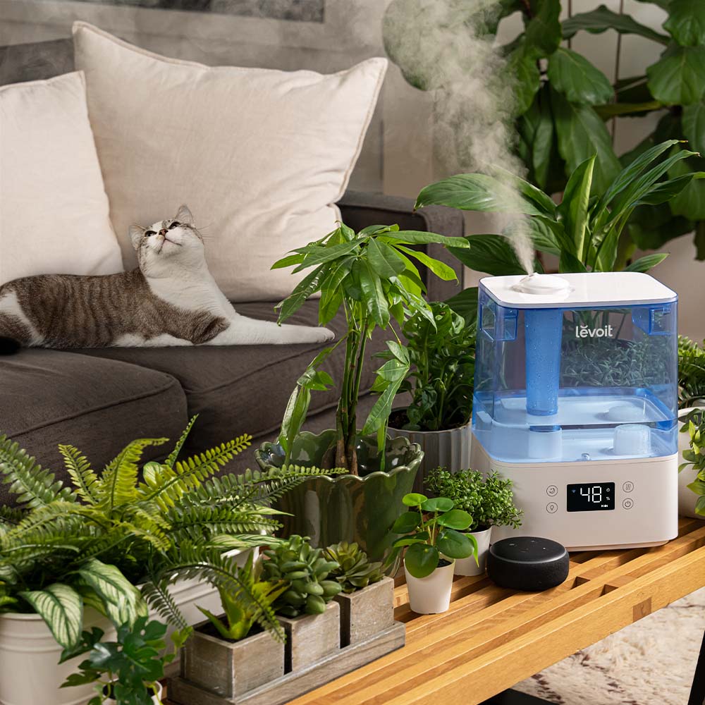 Resigilat! Umidificator de aer LEVOIT Classic 300S, Rezervor 6L, Super Silentios, Aplicatie Smart, Senzor Umiditate, Functie AUTO, Aromaterapie, Autonomie 60 ore, Blue