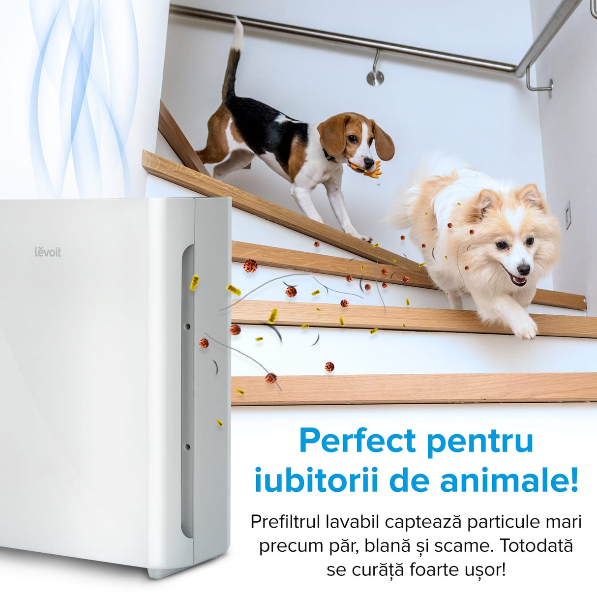 Filtru rezerva pentru purificator de aer LEVOIT Vital 100, 3-in-1, Pre-filtru lavabil, Filtru HEPA si Filtru de carbon activ cu eficienta ridicata, Vital 100-RF