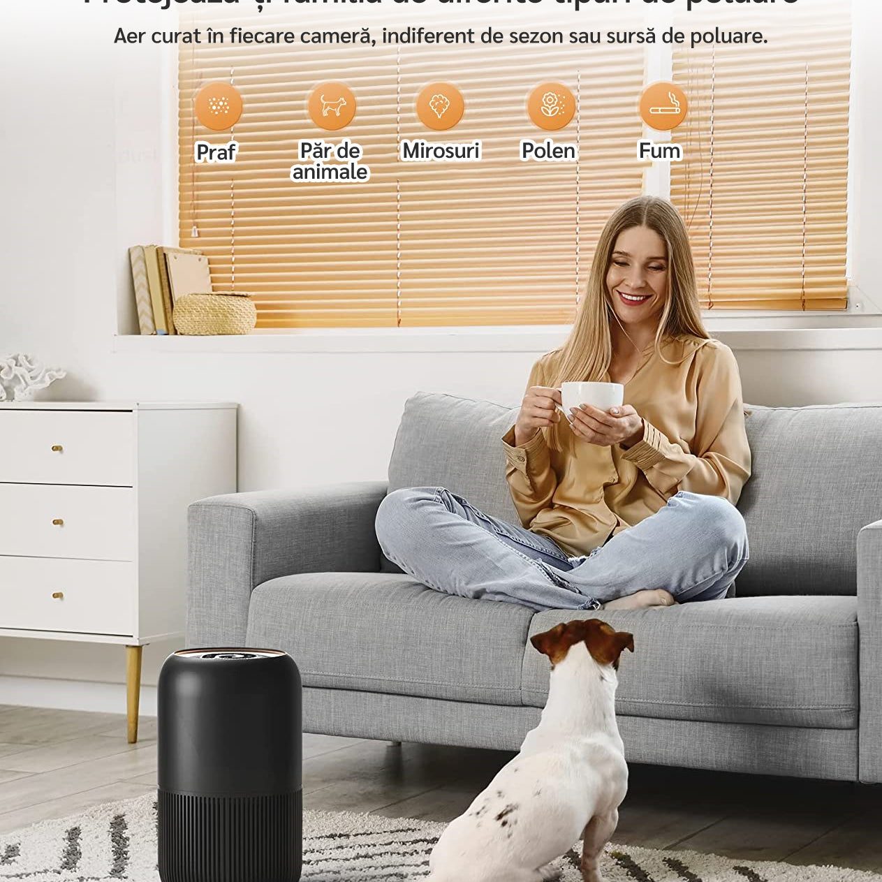 Purificator de aer Evoair, YuvoSpin, Lampă UV-C, Filtru 3in1, True Hepa, Carbon Activ, Pre-filtru, 4 viteze, Funcție Polen/Animale, Mod Noapte, Blocare Ecran, Lumină Ambientală, Negru