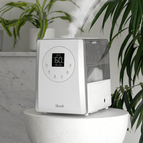 umidificator de aer cu display intr-o camera cu plante de interior