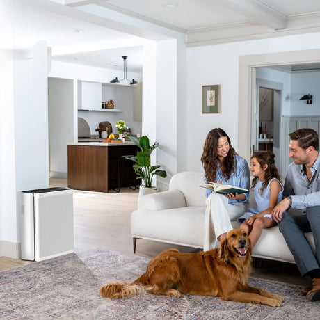 Purificator de aer Smart Levoit EverestAir Wi-Fi, Filtru True HEPA, Carbon Activ, Acoperire până la 100 m², Flux de Aer Multidirecțional, Mod Auto, Compatibil Alexa & Google Home, Touch Screen, Gri