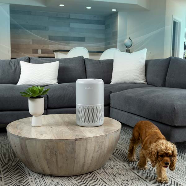 Purificator de Aer Levoit Core P350-RAC Pet Care, Filtru True HEPA, Carbon Activ, Super Silent, Filtrare 99.97%, 100% Ozon Free, Touch Screen, Gri