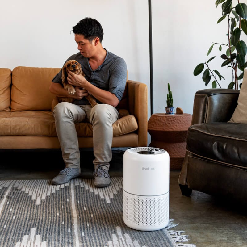 Resigilat! Purificator de Aer Levoit Core P350-RAC Pet Care, Filtru True HEPA, Carbon Activ, Super Silent, Filtrare 99.97%, 100% Ozon Free, Touch Screen, Alb