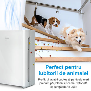 Filtru rezerva pentru purificator de aer LEVOIT Vital 100, 3-in-1, Pre-filtru lavabil, Filtru HEPA si Filtru de carbon activ cu eficienta ridicata, Vital 100-RF