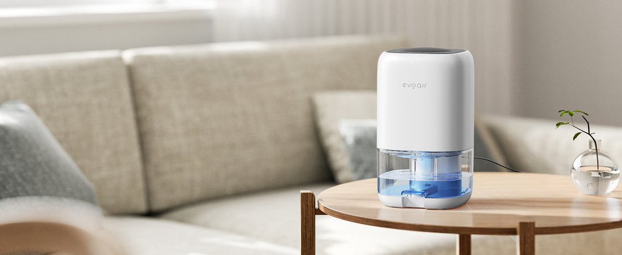 Dezumidificator aer Evoair HUMIX300, 300ml/24h, Silentios, Lumina Ambientală în 7 culori, Rezervor 1l, Alb