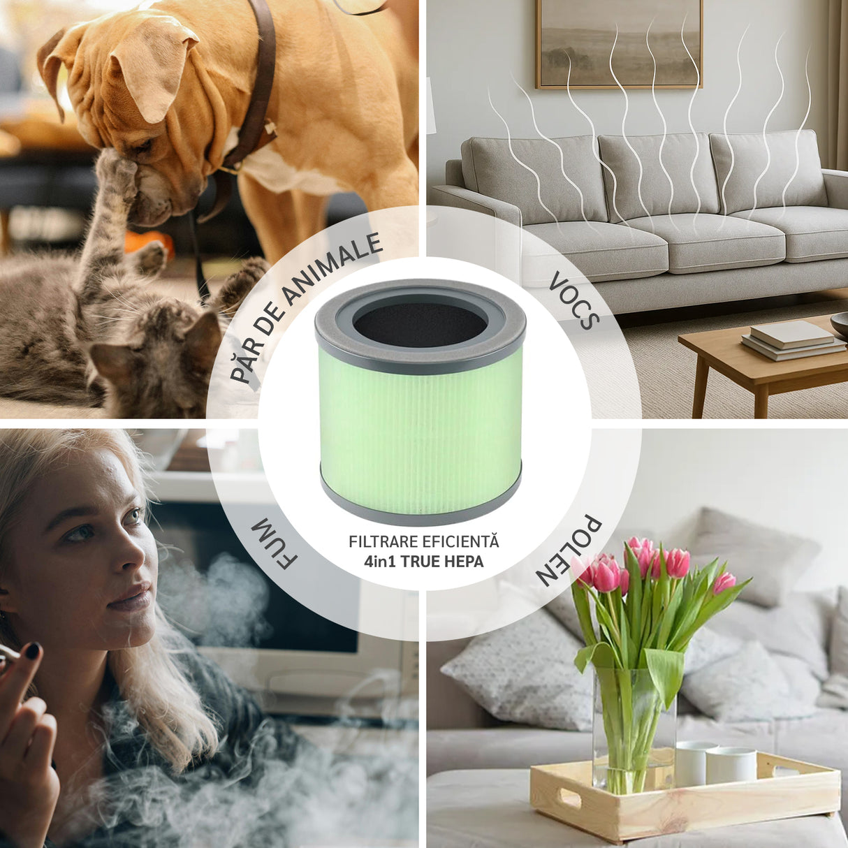 Purificator de aer Evoair, Yuvo, Lampă UV-C, Filtru 3in1, True Hepa, Carbon Activ, Pre-filtru, 4 viteze, Funcție Polen/Animale, Mod Noapte, Blocare Ecran, Lumină Ambientală, Alb