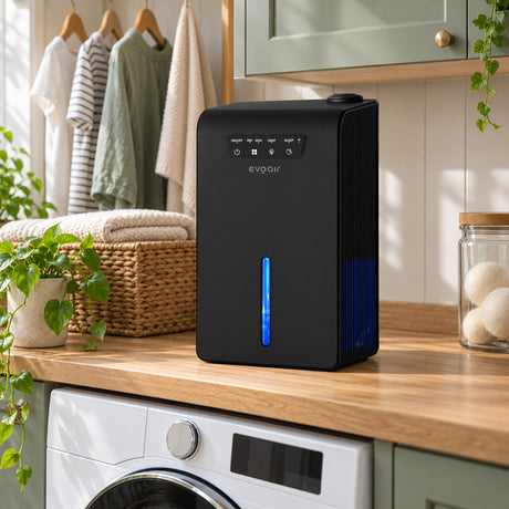 Sistem 2 in 1 Evoair, Zenith Air Smart, 1L/zi Dezumidificare, Wi-Fi, Control Aplicație, Umidificare 250ml/h, Rezervor 3.2l, Negru